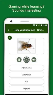 Entomology Dictionary Offline Insect Encyclopedia android App screenshot 10