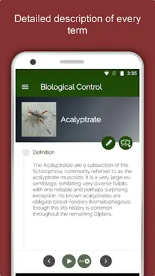 Entomology Dictionary Offline Insect Encyclopedia android App screenshot 12