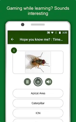 Entomology Dictionary Offline Insect Encyclopedia android App screenshot 2