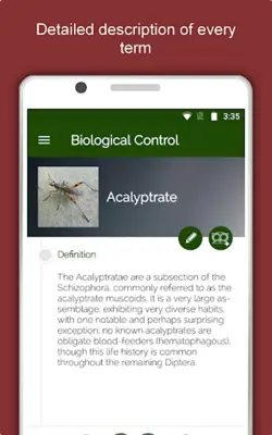 Entomology Dictionary Offline Insect Encyclopedia android App screenshot 4